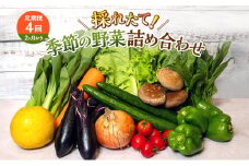 とれたて 野菜 パック 定期便 4回 2ヶ月おき 季節の野菜 セット 詰め合わせ 8品前後 野菜セット 野菜詰め合わせ ジャガイモ 人参 大根 小松菜 白ネギ グリーンリーフ チンゲン菜 椎茸 トマト 水菜 葉ネギ 人気 厳選 静岡県 