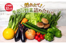 野菜 定期便 12回 とれたて 季節の野菜 8品前後 パック 詰め合わせ セット 野菜セット 野菜詰め合わせ じゃがいも にんじん 大根 小松菜 白ネギ グリーンリーフ チンゲン菜 椎茸 トマト 水菜 葉ネギ 旬の野菜 旬 冷蔵 冷蔵配送 静岡 定期 12ヶ月