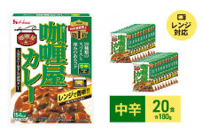 ハウス食品 レトルト カリー屋カレー【中辛】180g×20食 保存 便利 料理 簡単 レンチン スパイス ビーフ 人気 厳選