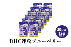 DHC速攻ブルーベリー 30日分12個セット