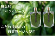 温室野菜 sano 生バジルソース２本セット