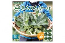 まんてんケール 　冷凍カットケールセット