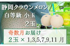 【奇数定期便】クラウンメロン【並(白等級)】小玉(1.1kg前後)2玉入り