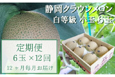 【12か月定期便】クラウンメロン【並(白等級)】小玉(1.1kg前後)6玉入り