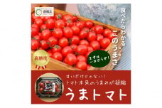 【2025年5月中旬より順次発送】うまトマト 1kg 野菜 甘さ 酸味 糖度８度以上 高糖度 ミニトマト お弁当 サラダ おやつ 濃厚 付け合わせ 緑黄色野菜 赤い野菜