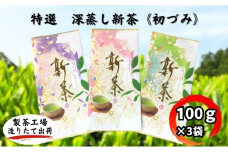 特選　深蒸し新茶《初づみ》（100g×3）