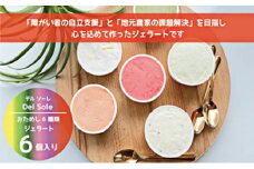 デルソーレ　ジェラート★大人気！旬の6種詰め合せ★（6個入り）セット 袋井市