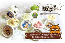 Migelaの人気ジェラート 14個 食べ比べ セット  定番6種＋季節のおまかせ8種  ジェラート アイス デザート Migela 静岡 袋井市