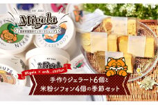 【Migela × en&...chiffon】手作りジェラート6個と米粉シフォン4個の季節セット　ジェラート スイーツ 米粉 シフォン ケーキ アイス デザート Migela 静岡 袋井市