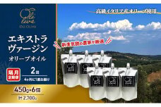 【受賞農家が選出】 高級イタリア産 エキストラ・ヴァージン・オリーブオイル 450g×6個【隔月定期便2回(4ヶ月に1度)お届け】 調味料 油 オリーブ油 食用油 静岡県 袋井市