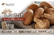 【遠州どまんなかしいたけ】 生しいたけ・乾燥しいたけセット (生しいたけ 約400g , 乾燥しいたけ　丸小 30g1袋 , スライス 小35g2袋)　干し椎茸 産地直送 国産 料理 素材 出汁 日本料理 就労支援 福祉 静岡 袋井