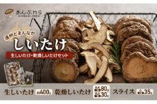 【遠州どまんなかしいたけ】 生しいたけ・乾燥しいたけセット (生しいたけ 約400g , 乾燥しいたけ　丸大 80g1袋 丸小 30g1袋 , スライス 小35g2袋)　干し椎茸 産地直送 国産 料理 素材 出汁 日本料理 就労支援 福祉 静岡 袋井