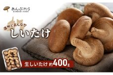【遠州どまんなかしいたけ】 生しいたけ 約400g 椎茸 産地直送 国産 料理 素材 出汁 日本料理 就労支援 福祉 静岡 袋井