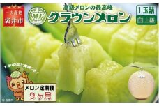 【9ヶ月定期便】クラウンメロン（白上級）1玉入 メロン デザート グルメ 果物 フルーツ 季節の果物 スイーツ 袋井市 静岡県