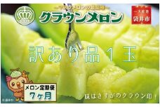 【7ヶ月定期便】クラウンメロン（訳あり）1玉入 メロン デザート グルメ 果物 フルーツ 季節の果物 スイーツ 袋井市 静岡県