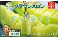 【8ヶ月定期便】クラウンメロン（訳あり）1玉入 メロン デザート グルメ 果物 フルーツ 季節の果物 スイーツ 袋井市 静岡県