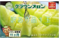【11ヶ月定期便】クラウンメロン（訳あり）1玉入 メロン デザート グルメ 果物 フルーツ 季節の果物 スイーツ 袋井市 静岡県