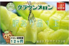 【12ヶ月定期便】クラウンメロン（訳あり）1玉入 メロン デザート グルメ 果物 フルーツ 季節の果物 スイーツ 袋井市 静岡県