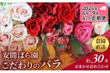 【2026年6月～9月定期便】安間ばら園 こだわりの バラ おまかせ詰め合わせ約30本 4か月定期便 花 ギフト 誕生日 記念日 花束 プレゼント バラ フラワーギフト