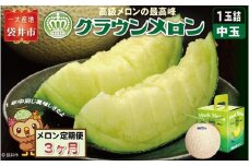 【3ヶ月定期便】クラウンメロン（白等級）中玉　1玉入 　果物 フルーツ デザート メロン マスクメロン 青肉 高級 ギフト 贈り物 静岡県産 袋井市