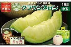【5ヶ月定期便】クラウンメロン（白等級）中玉　1玉入 　果物 フルーツ デザート メロン マスクメロン 青肉 高級 ギフト 贈り物 静岡県産 袋井市