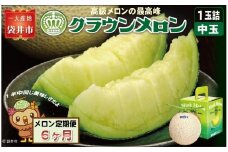 【6ヶ月定期便】クラウンメロン（白等級）中玉　1玉入　果物 フルーツ デザート メロン マスクメロン 青肉 高級 ギフト 贈り物 静岡県産 袋井市