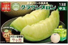 【7ヶ月定期便】クラウンメロン（白等級）中玉　1玉入 　果物 フルーツ デザート メロン マスクメロン 青肉 高級 ギフト 贈り物 静岡県産 袋井市