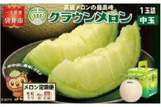 【11ヶ月定期便】クラウンメロン（白等級）中玉　1玉入 　果物 フルーツ デザート メロン マスクメロン 青肉 高級 ギフト 贈り物 静岡県産 袋井市