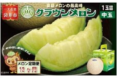 【12ヶ月定期便】クラウンメロン（白等級）中玉　1玉入 　果物 フルーツ デザート メロン マスクメロン 青肉 高級 ギフト 贈り物 静岡県産 袋井市