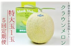 【5ヶ月定期便】クラウンメロン（白等級）特大玉　1玉入 　果物 フルーツ デザート メロン マスクメロン 青肉 高級 ギフト 贈り物 静岡県産 袋井市