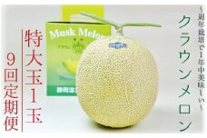 【9ヶ月定期便】クラウンメロン（白等級）特大玉　1玉入 　果物 フルーツ デザート メロン マスクメロン 青肉 高級 ギフト 贈り物 静岡県産 袋井市