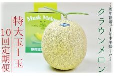 【10ヶ月定期便】クラウンメロン（白等級）特大玉　1玉入 　果物 フルーツ デザート メロン マスクメロン 青肉 高級 ギフト 贈り物 静岡県産 袋井市