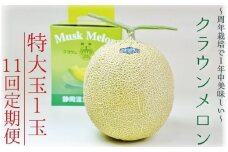 【11ヶ月定期便】クラウンメロン（白等級）特大玉　1玉入 　果物 フルーツ デザート メロン マスクメロン 青肉 高級 ギフト 贈り物 静岡県産 袋井市