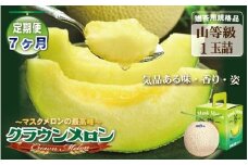 【7ヶ月定期便】クラウンメロン（山等級）１玉入 　果物 フルーツ デザート メロン マスクメロン 青肉 高級 ギフト 贈り物 静岡県産 袋井市