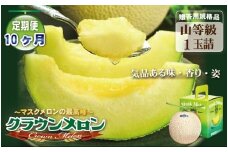 【10ヶ月定期便】クラウンメロン（山等級）１玉入 　果物 フルーツ デザート メロン マスクメロン 青肉 高級 ギフト 贈り物 静岡県産 袋井市
