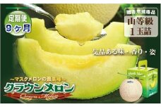 【9ヶ月定期便】クラウンメロン（山等級）１玉入 　果物 フルーツ デザート メロン マスクメロン 青肉 高級 ギフト 贈り物 静岡県産 袋井市
