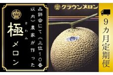 【9ヶ月定期便】『クラウンメロン ”極メロン” 1玉 』 　果物 フルーツ デザート メロン マスクメロン 青肉 高級 ギフト 贈り物 静岡県産 袋井市