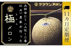 【11ヶ月定期便】『クラウンメロン ”極メロン” 1玉 』 　果物 フルーツ デザート メロン マスクメロン 青肉 高級 ギフト 贈り物 静岡県産 袋井市