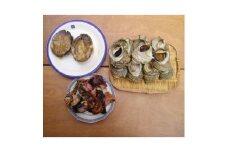 ＜伊豆の恵み3種　Cセット＞ボイルサザエ・味噌汁用カット伊勢海老・あわび味噌漬