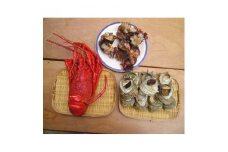 ＜伊豆の恵み4品(3種)　Fセット＞ボイルサザエ・味噌汁用カット伊勢海老・蒸し特大伊勢海老