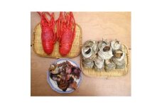 ＜伊豆の恵み3種　Dセット＞ボイルサザエ・味噌汁用カット伊勢海老・蒸し伊勢海老
