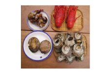 ＜伊豆の恵み4種　Gセット＞ボイルサザエ・味噌汁用カット伊勢海老・あわび味噌漬・蒸し伊勢海老