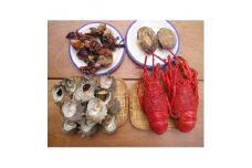 ＜伊豆の恵み4種　大盛り＞ボイルサザエ・味噌汁用カット伊勢海老・あわび味噌漬・蒸し特大伊勢海老