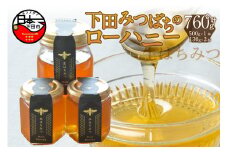 ＜下田みつばち＞下田産ローハニー(生はちみつ)3本セット　[下田みつばちのローハニー はちみつ 国産 非加熱 百花蜜 生はちみつ 純粋 ハチミツ 蜂蜜 ハニー ローハニー お取り寄せ お土産 ビタミン ミネラル 無添加 発酵食品 セット 130g 2本 500g 1本 静岡 伊豆 下田産]