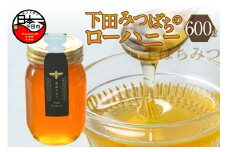 ＜下田みつばち＞下田産ローハニー(生はちみつ)600g　[下田みつばちのローハニー はちみつ 国産 非加熱 百花蜜 生はちみつ 純粋 ハチミツ 蜂蜜 ハニー ローハニー お取り寄せ お土産 ビタミン ミネラル 無添加 発酵食品 セット 600g 1本 静岡 伊豆 下田産]