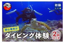 ＜ドラゴンレディ＞体験ダイビング　2回コース [ダイビング 体験 海 初心者 2回 コース アウトドア スポーツ アクティビティ マリンスポーツ レジャー 静岡 伊豆 下田 南伊豆 ドラゴンレディ]
