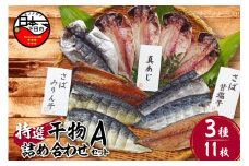【小木曽商店 】干物詰合せ【Aセット】　[干物 セット あじ さば 味醂干し 詰め合わせ ギフト 無添加 魚介類 3種 11枚 干物専門店 厳選 静岡 伊豆 下田]
