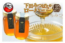 ＜下田みつばち＞ローハニー600g×2本セット　[下田みつばちのローハニー はちみつ 国産 非加熱 百花蜜 生はちみつ 純粋 ハチミツ 蜂蜜 ハニー ローハニー お取り寄せ お土産 ビタミン ミネラル 無添加 発酵食品 セット 600g 2本 静岡 伊豆 下田産]