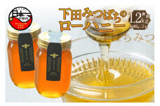 ＜下田みつばち＞ローハニー600g×2本セット　[下田みつばちのローハニー はちみつ 国産 非加熱 百花蜜 生はちみつ 純粋 ハチミツ 蜂蜜 ハニー ローハニー お取り寄せ お土産 ビタミン ミネラル 無添加 発酵食品 セット 600g 2本 静岡 伊豆 下田産]