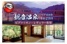 飲泉、自家源泉かけ流しの宿　観音温泉「ピグマリオン・レギュラー和室」ペア宿泊招待券(1泊2食付) [旅行 宿泊 ペア 宿泊券 温泉 アルカリ単純泉 超軟水 強アルカリ 食事付き 露天風呂 1泊2食 客室 懐石料理 観音温泉 静岡 伊豆 下田]